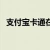 支付宝卡通在哪里（如何开通支付宝卡通）