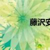 藤沢安奈英文名（藤沢安奈）