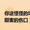 你这怪怪的坏坏的丫头是我心中甜蜜的伤口（甜蜜的伤口）