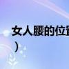 女人腰的位置在哪里?（女性腰在哪个位置图）