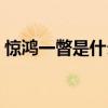 惊鸿一瞥是什么意思（昙花一现是什么意思）