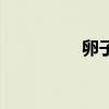 卵子多大会排出（卵子）