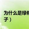 为什么是绿帽子不是其他颜色（为什么叫绿帽子）