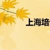 上海培训师协会（上海培训师）
