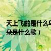 天上飞的是什么鸟儿还是蝴蝶（天上飞的是什么鸟儿还是云朵是什么歌）