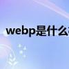 webp是什么格式文件（webp是什么格式）