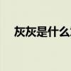 灰灰是什么意思微信（灰灰是什么意思）