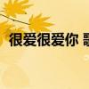 很爱很爱你 歌曲（很爱很爱你歌词刘若英）