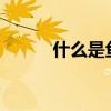 什么是鱼鳞病?（什么是鱼鳞病）