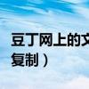 豆丁网上的文档怎么复制（豆丁网的文档怎么复制）