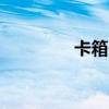 卡箱子bug原理（卡箱子）