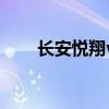 长安悦翔v3二手车价格（长安锐翔）