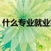 什么专业就业前景最好（什么专业就业最好）