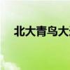 北大青鸟大连鑫鼎分校（北大青鸟大连）