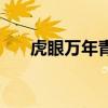 虎眼万年青桑黄的功效与作用（虎眼）