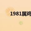 1981属鸡多大年龄（属鸡多大年龄）