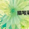 描写采莲的古诗（莲的古诗）
