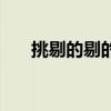 挑剔的剔的解释（挑剔的剔读第几声）