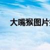 大嘴猴图片搞笑（大嘴猴图片头像可爱）
