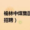 榆林中煤集团是做什么工作的（榆林中煤集团招聘）