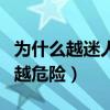 为什么越迷人的越危险歌曲（为什么越迷人的越危险）