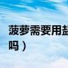 菠萝需要用盐水泡吗多久（菠萝需要用盐水泡吗）