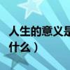 人生的意义是什么的经典语录（人生的意义是什么）
