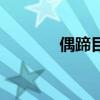 偶蹄目的主要特征（偶蹄目）