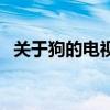 关于狗的电视剧有哪些（关于狗的电视剧）