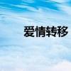 爱情转移 下载（爱情转移空间链接）