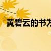 黄碧云的书为什么是禁书（黄碧云来不及）