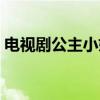 电视剧公主小妹的主题曲（电视剧公主小妹）