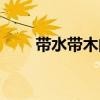 带水带木的一个字（带水带木的字）