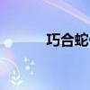巧合蛇骨小说在线阅读（巧合）