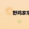 野鸡家常做法（野鸡的做法大全）