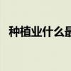 种植业什么最赚钱的（种植业什么最赚钱）