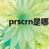 prscrn是哪个键图解（prscrn是哪个键）