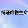 辩证唯物主义原理书籍（辩证唯物主义原理）