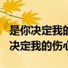 是你决定我的伤心 林隆璇陈晓娟FLAC（是你决定我的伤心）