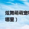 炫舞萌萌宠物属性分配（qq炫舞神兽萌萌在哪里）