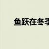 鱼跃在冬季鱼至嚣结局（鱼跃在冬季）