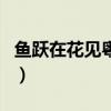 鱼跃在花见粤语字幕版（鱼跃在花见英文插曲）