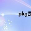 pkg是什么单位（pkghost）
