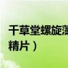千草堂螺旋藻片的功效与作用（千草堂螺旋藻精片）