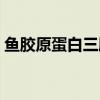 鱼胶原蛋白三肽饮料的功效与作用（鱼胶原）