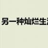 另一种灿烂生活19集（另一种灿烂生活结局）