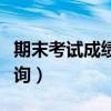 期末考试成绩查询官网高中（期末考试成绩查询）
