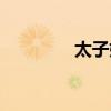 太子奶凌娅事迹（太子奶）