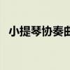 小提琴协奏曲梁祝完整版（小提琴协奏曲）