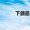 下颌是哪个部位（下颌是哪里）